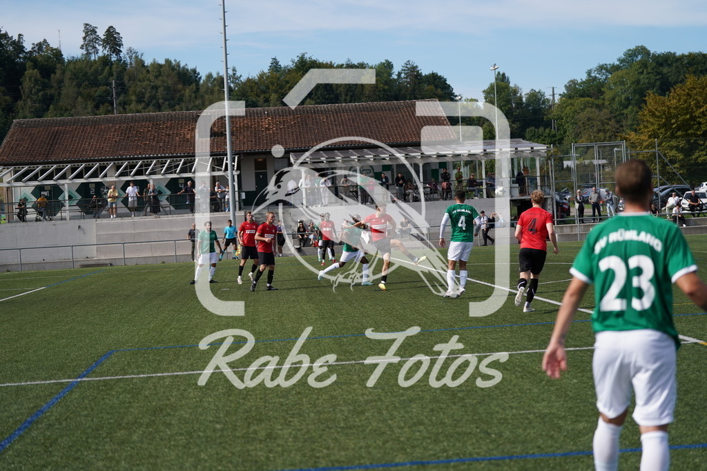 DSC08596 | rabefotos