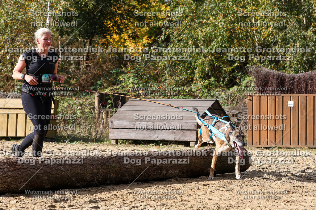 Dog Paparazzi - Strongdog 10-25-5306 | Dog Paparazzi Jeanette Grottendiek Fotografie & Videografie - Realisiert mit Pictrs.com