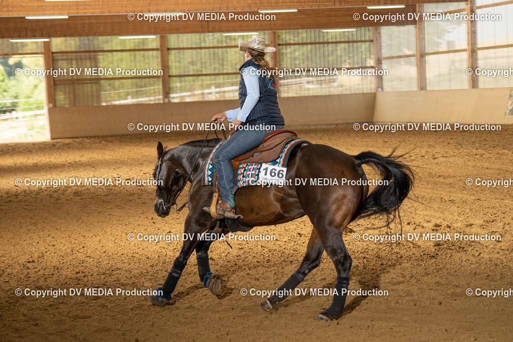 LAU01426 | dv-media-shop - Realisiert mit Pictrs.com