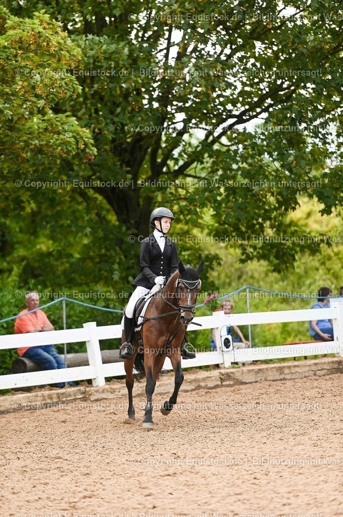 20230716_10-2_Reiter-WB Schritt - Trab - Galopp_0120 | equistock