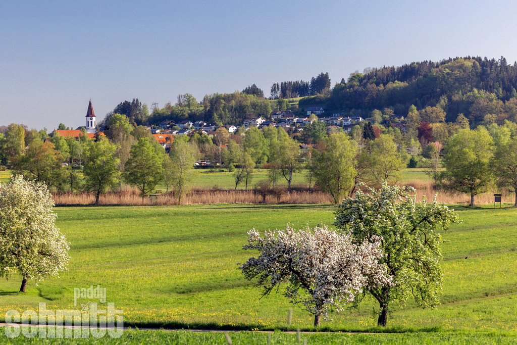 PS-Illmensee-2026-10 | Entdecke die größte Bildgalerie der Region mit Fotografien aus dem Allgäu, der Bodenseeregion, Oberschwaben, dem Donautal und der Schwäbischen Alb. Landschaften, Luftaufnahmen und Reisefotografie als Wandbild und Fotokunst. - Realisiert mit Pictrs.com