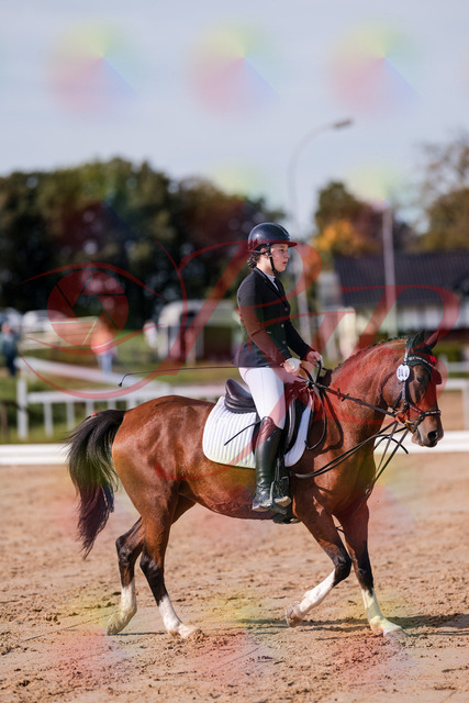 2026_10_03_Siefer-Hof_115437_Z81_94041546 | Professionelle Reitsport-, Turnier- und Eventfotografie von Robert Broda. Galerien mit ausgewählten und bearbeiteten Bildern direkt online ansehen und bestellen.