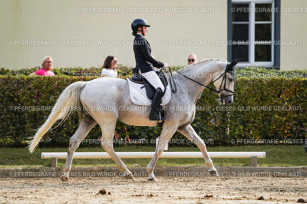 DSC04309 | Pferdegrafie