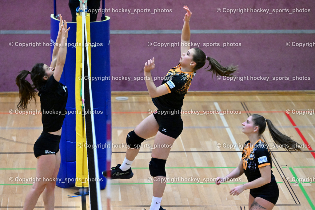 ASKÖ Volley Eagles Villach vs. VC Hausmannstätten | #4 ANNERER Stella VC Hausmannstätten, #11 Ilvie HOFER ASKÖ Volley Eagles Villach, #10 СЕНІС Еlwira ASKÖ Volley Eagles Villach, ASKÖ Volley Eagles Villach vs. VC Hausmannstätten, ASKÖ Volley Eagles Villach vs. VC Hausmannstätten am 01.02.2025 in Villach (Ballspielhalle Lind), Austria, (Photo by Bernd Stefan)