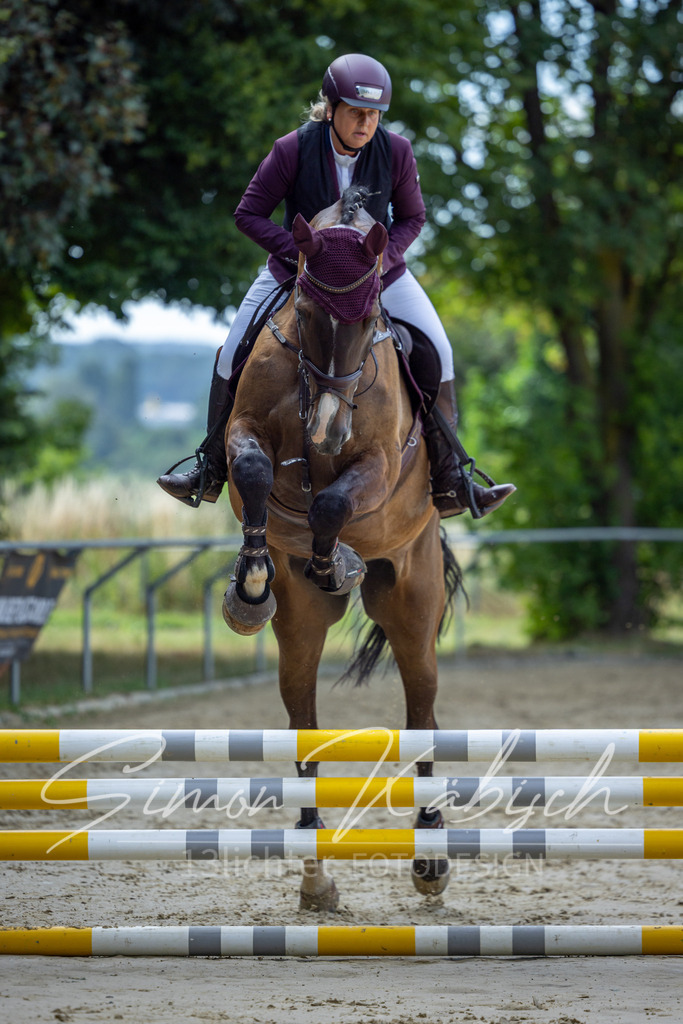 20260704-_3LI6745 | Tierfotografie Pferde, Hunde, Katzen, Haustiere.
Turnierfotografie Reitturniere, Reiten, Springreiten, Dressur in Hanau, dem Main-Kinzig-Kreis und dem Rhein-Main- Gebiet um Frankfurt