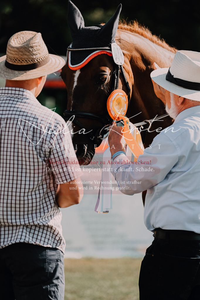 DSC_4902 | Pferde- und Turnierfotografie in Westsachsen. Pferdeportraits, Auftragszeichnungen und intuitive Kunst.