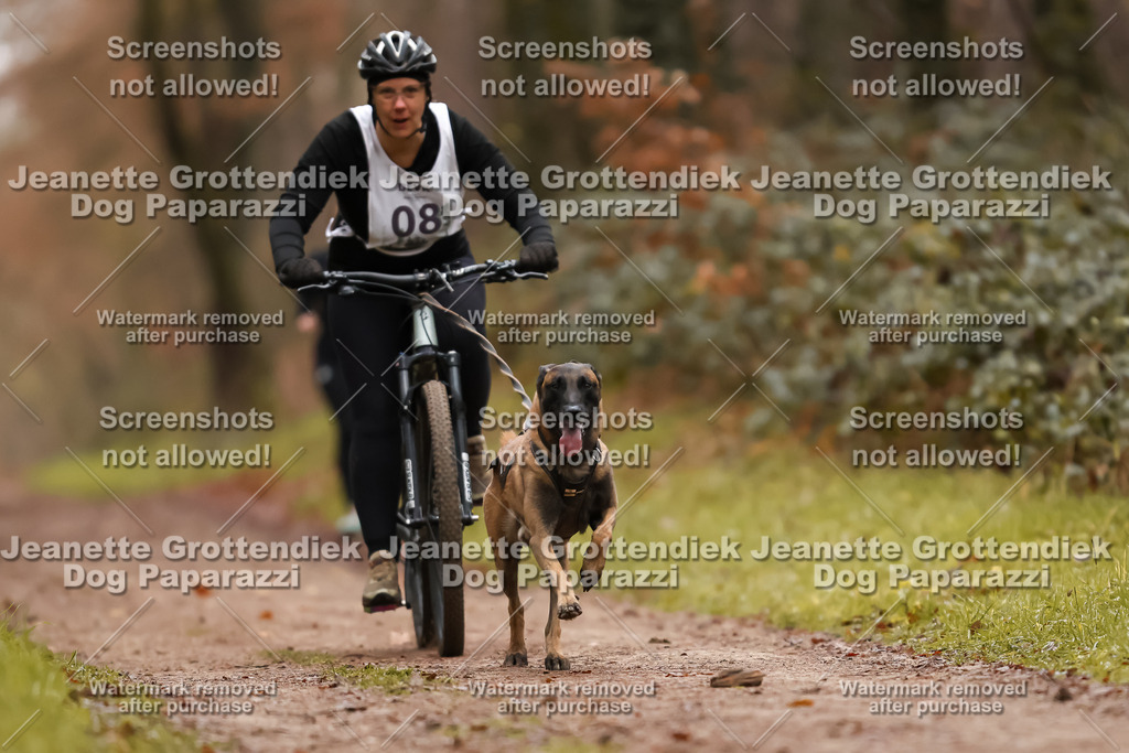 Dog Paparazzi - Speedhunter Mannheim  2025-24 | Dog Paparazzi Jeanette Grottendiek Fotografie & Videografie