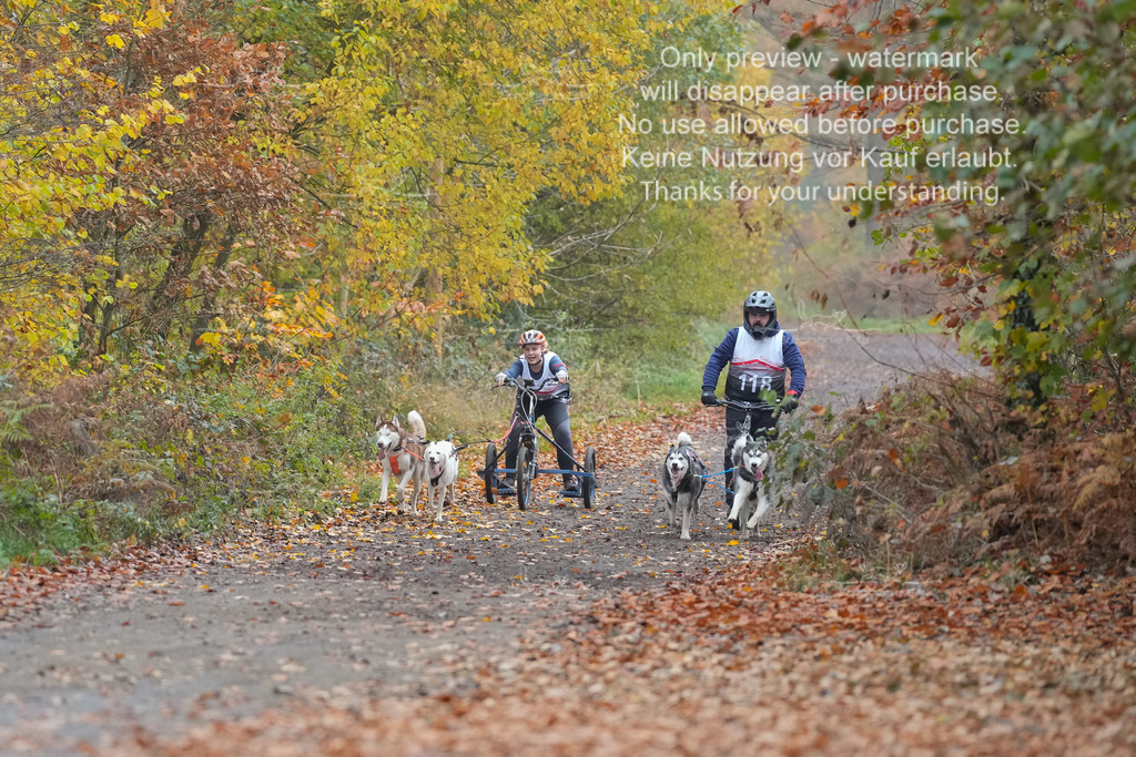 ScooterRigs2dogs_So-31 | stephaniefillaphotographie - Realisiert mit Pictrs.com