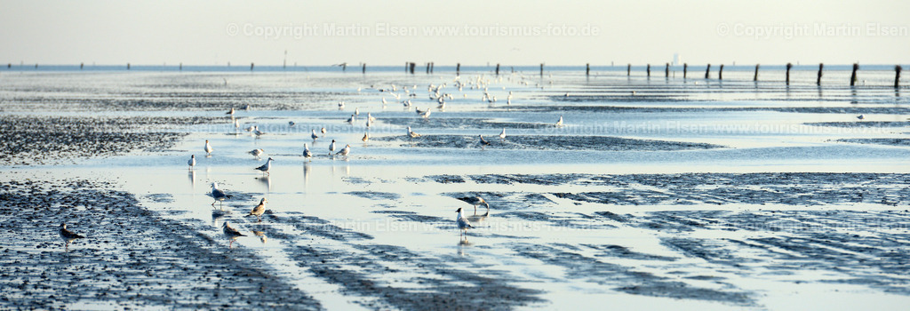 Cuxhaven_ELS_8221270716p | Fotos aus den Touristenorten aus Norddeutschland. - Realisiert mit Pictrs.com