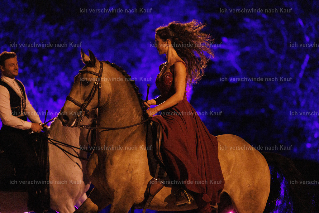 FHClassics-328 | working equitationturnier fotograf videograf stoibphotography marixx film working equitation deutschland reitsport turnierfotografie eventfotografie equestrian events