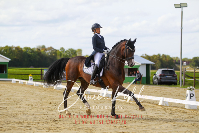 DKP45525 | Turniersportfotografie; Pferdefotografie; Dressurfotografie