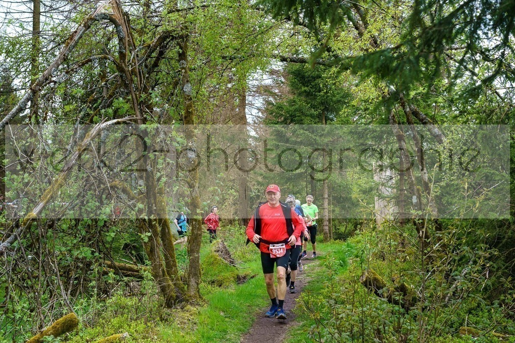Rennsteiglauf 2023 | Rennsteiglauf 2023 am 12. Mai 2023 - Marathon-Strecke Neuhaus/Rwg. - Schmiedefeld
