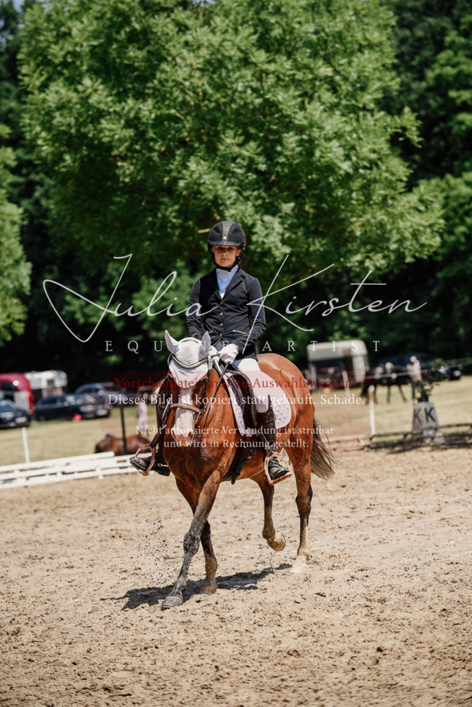 DSC_1946 | Pferde- und Turnierfotografie in Westsachsen. Pferdeportraits, Auftragszeichnungen und intuitive Kunst.