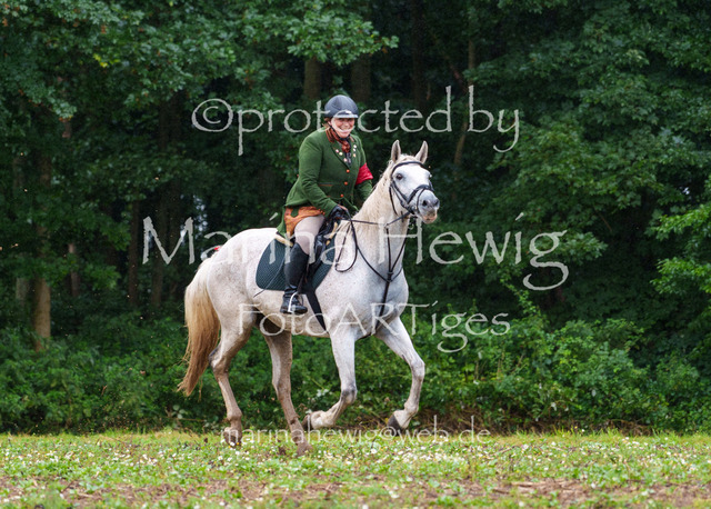 Jagd Perdoel 26 Sony-03544_MarinaHewig | Fotografie, FotoArt, PferdesportArt, Pferdesportfotografie, Landschaftsfotografie, Reisefotografie, Reise, Pferde - Realisiert mit Pictrs.com