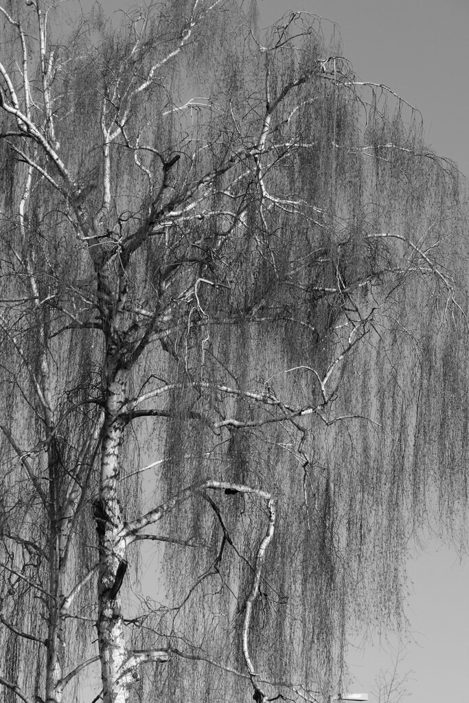 P1640812_b | Annaeherungen - Realisiert mit Pictrs.com