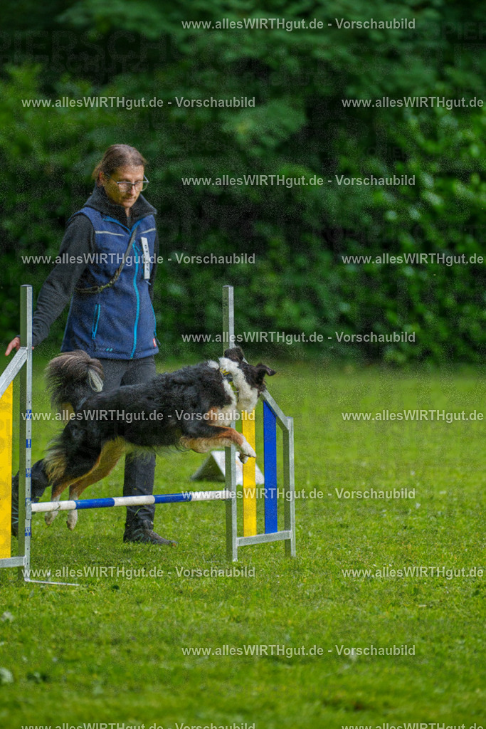 @allesWIRTHgut_Tierfotografie - www.allesWIRTHgut.de - 7R502297 | Professionelle Tierfotografie in Mönchengladbach von Daniel Wirth (allesWIRTHgut). Liebevolle & natürliche Bilder von Hunden & Katzen für unvergessliche Erinnerungen.