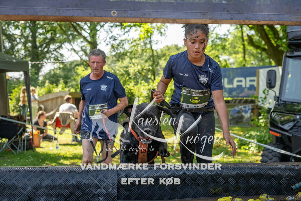 1349_ZZ92288 | kk-dogfotos