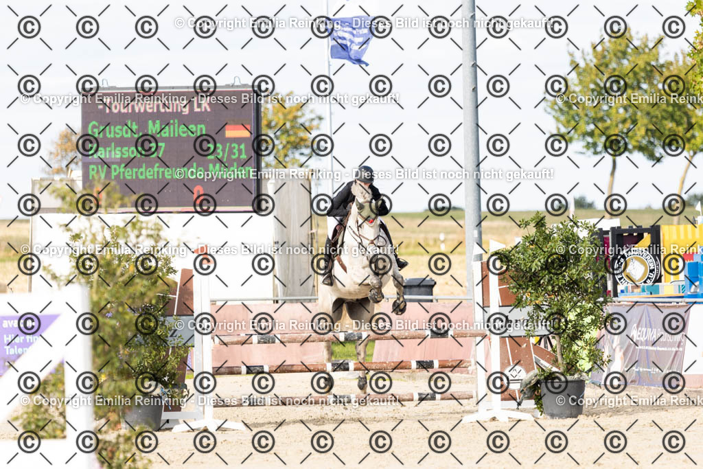 CL5A2360 | Emilia Reinking Fotografie - Realisiert mit Pictrs.com