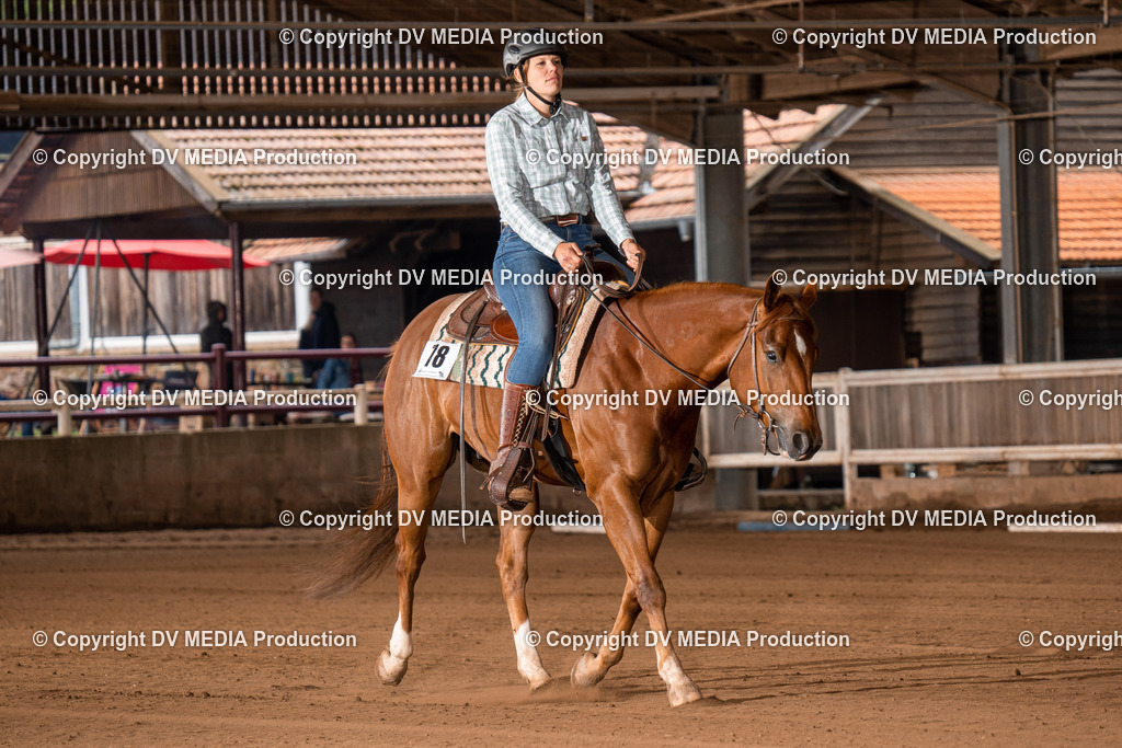 Erbach Tag 2-376 | dv-media-shop - Realisiert mit Pictrs.com