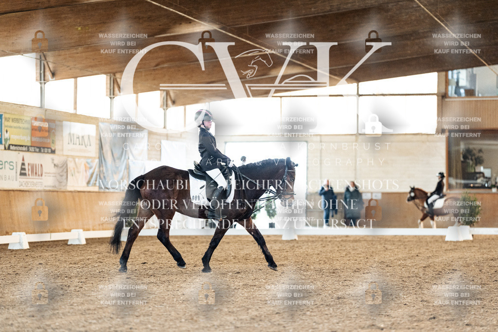 CK907170 | Turnierfotografie Pferdefotografie Trier Rheinland-Pfalz Pferdesport Reitsport Tierfotografie Sportfotografie Pferdevideo Pferdevideografie Equestrianvideography equestrianphotography  - Realisiert mit Pictrs.com
