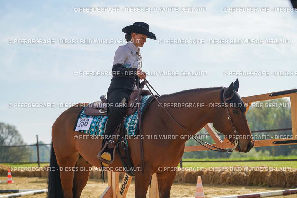 DSC01185 | Pferdegrafie