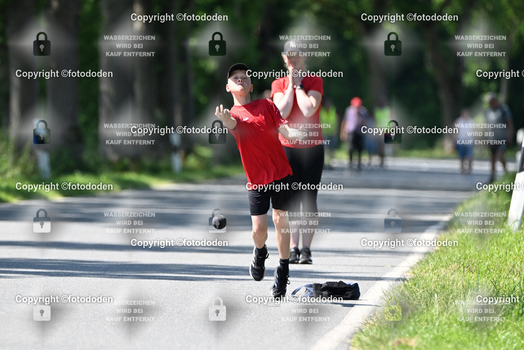 DSC_0293 | Jarno Wittje / Bredhorn / mJu E Holz