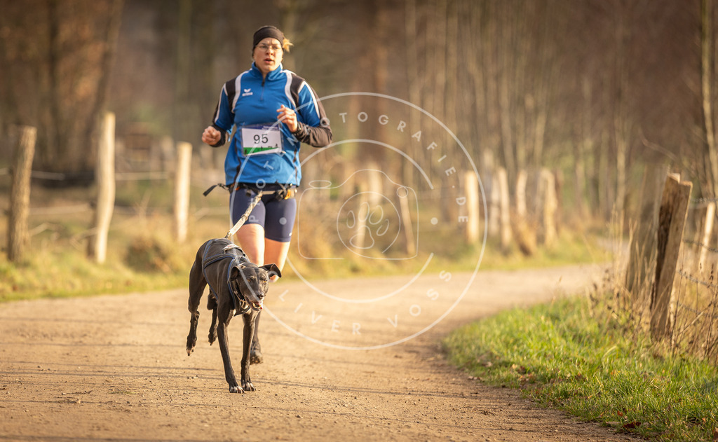 Pfotenfotografie_DV3A4355 | Hundefotografie, Tierfotograf, Pfotenfotografie, Fotoshooting Hund, Hunde Portrait, Hundesport, Hundeportraits, Heideshooting, Hunde, Sportfotograf, Hundefotograf, Turnierhundsport, THS,  - Realisiert mit Pictrs.com