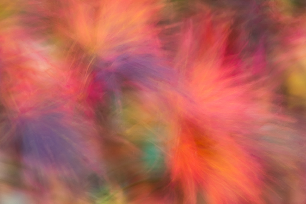 d_2021_11_0329 | Ausdrucksstarke Naturfotografien | Fotokunst Wandbilder zur Raumgestaltung für Zuhause | Praxis und Büro| Hotels und Wellness | Kanzlei und Repräsentanz. Hochwertig, individuell, flexibel. - Realisiert mit Pictrs.com