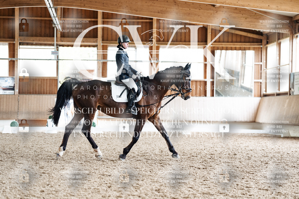 CK901760 | Turnierfotografie Pferdefotografie Trier Rheinland-Pfalz Pferdesport Reitsport Tierfotografie Sportfotografie Pferdevideo Pferdevideografie Equestrianvideography equestrianphotography  - Realisiert mit Pictrs.com