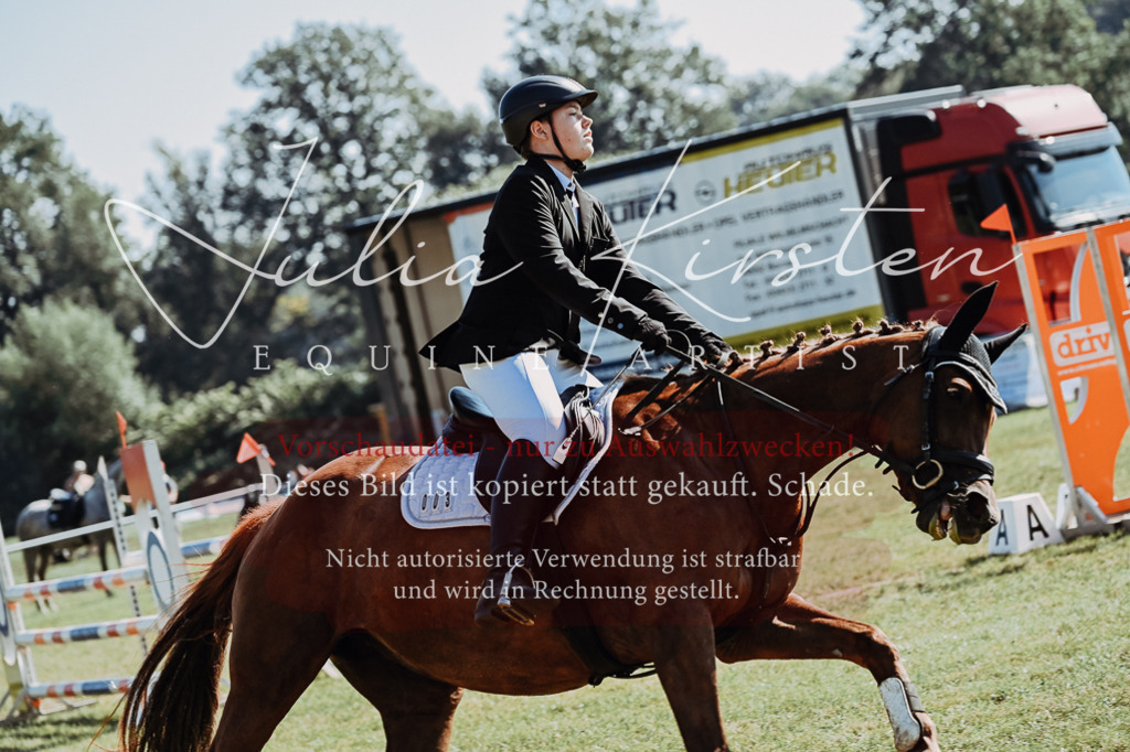 DSC_5449 | Pferde- und Turnierfotografie in Westsachsen. Pferdeportraits, Auftragszeichnungen und intuitive Kunst.