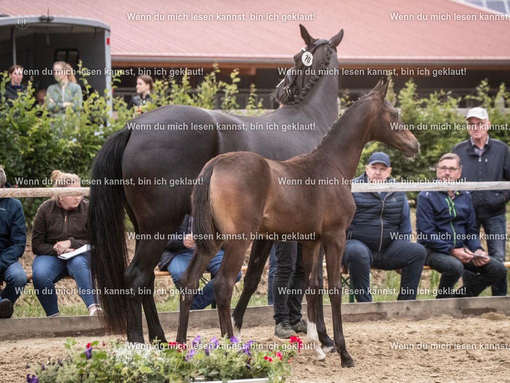 A10I7242 | photographylinaismer - Realisiert mit Pictrs.com