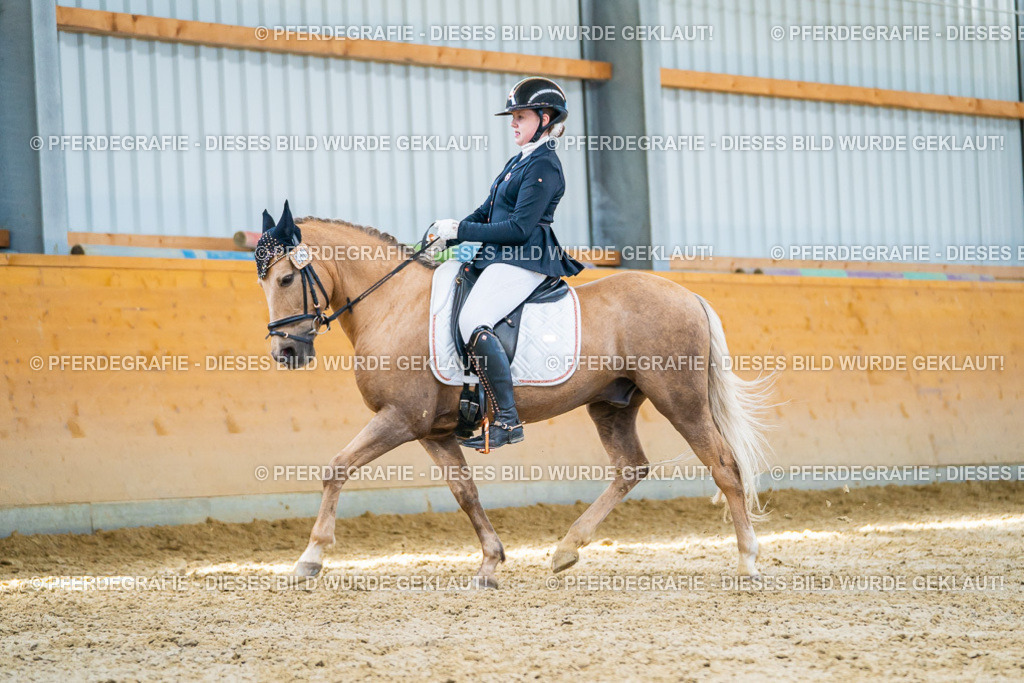 DSC07638 | Pferdegrafie