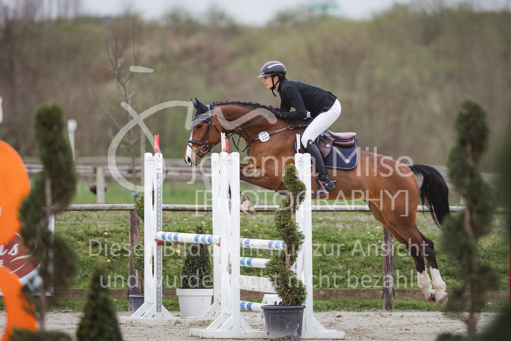240330_Fruehlingsfest_Stil-A2-2-705 | Deine schönsten Turniermomente als professionelle Fotos! Entdecke hochwertige Pferdesport-Fotografie im Online-Shop. Jetzt Fotos finden & bestellen!