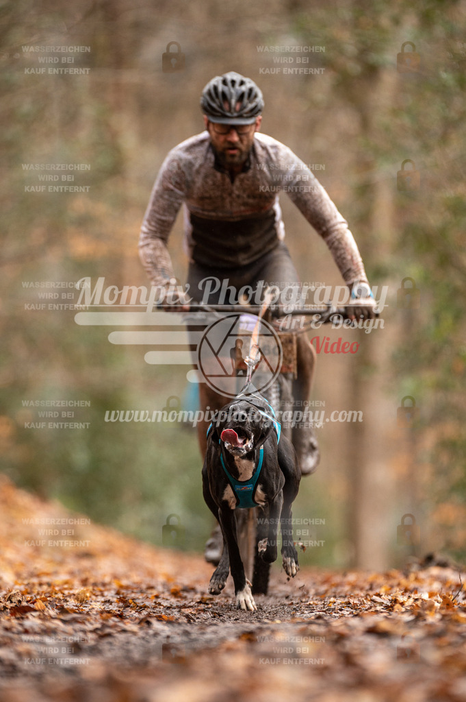 SPA_2023_DIM_Bike-17 | PayLife