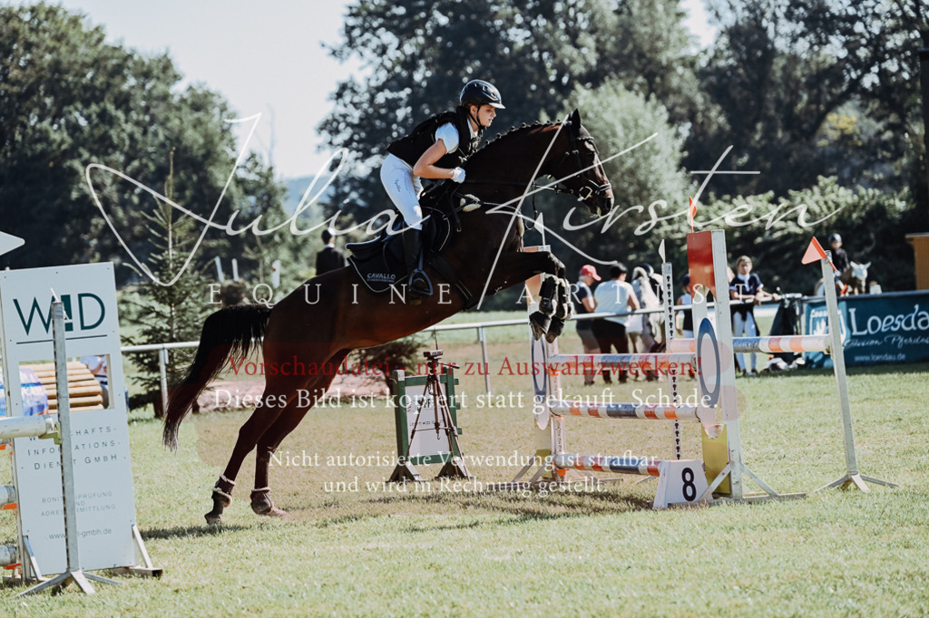 DSC_5497 | Pferde- und Turnierfotografie in Westsachsen. Pferdeportraits, Auftragszeichnungen und intuitive Kunst.