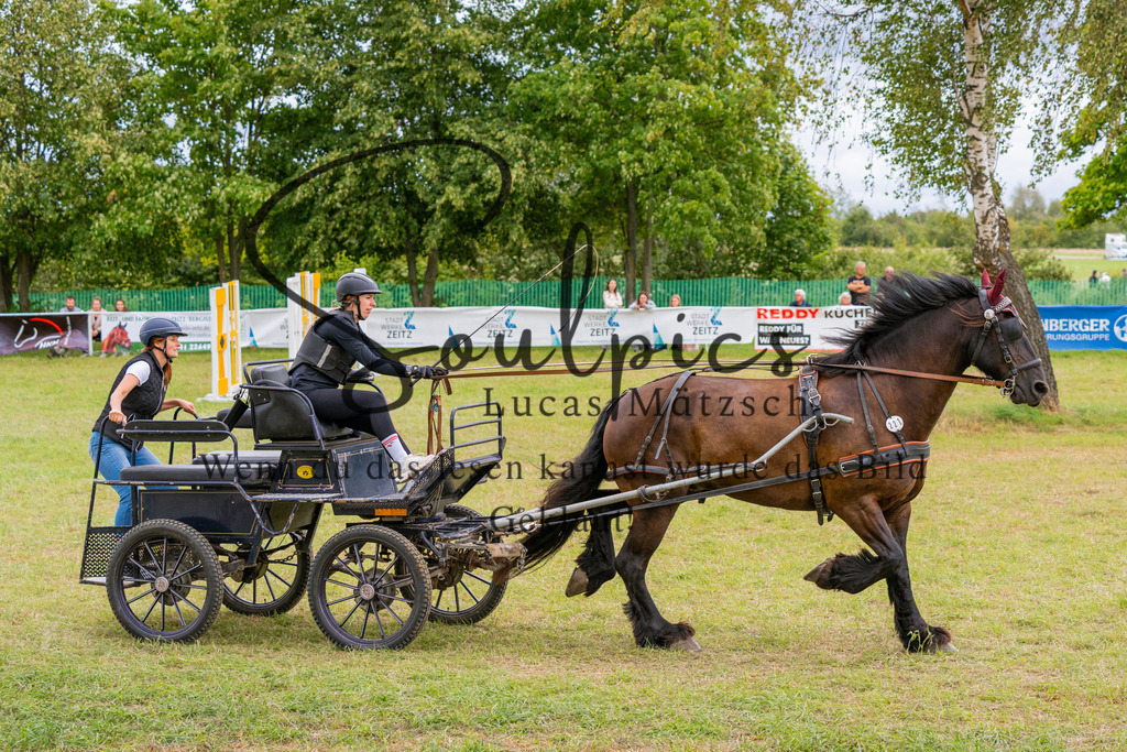 A7V06137 | Turnier/Reitfotograf