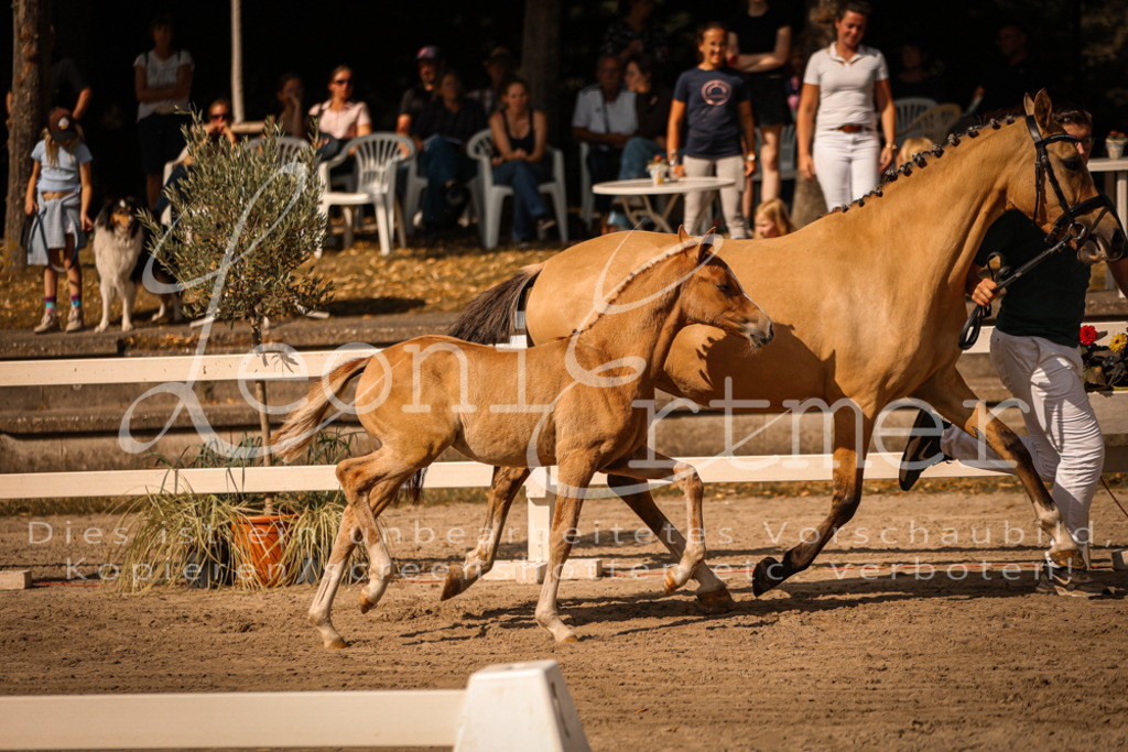 10.DoRP00111 | Leoni Ertmer Photography - Realisiert mit Pictrs.com