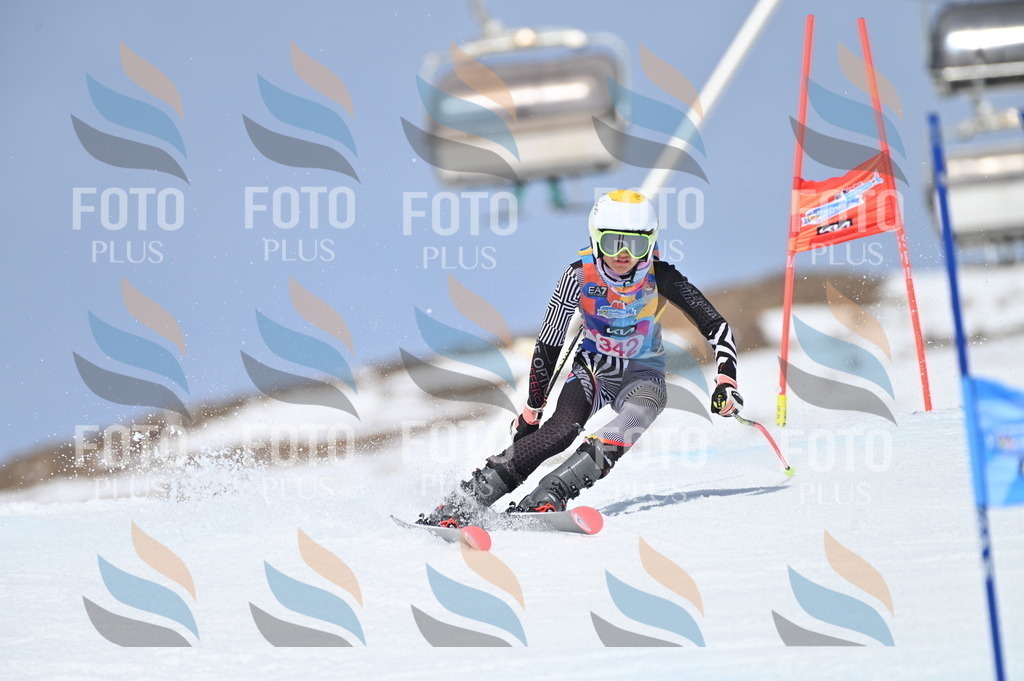 BGV_3477 | holidayphoto