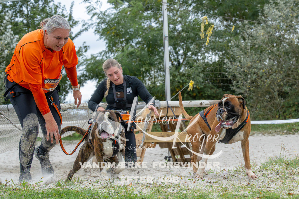 1041_ZZ94948 | kk-dogfotos
