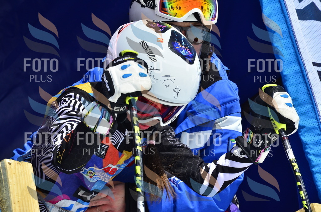 _ELE0565 | holidayphoto