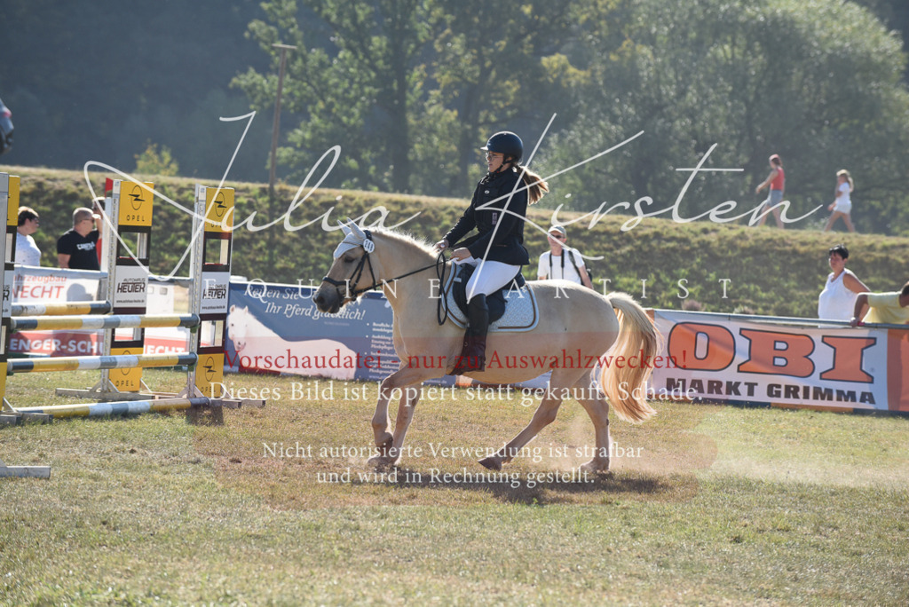 DSC_5841 | Pferde- und Turnierfotografie in Westsachsen. Pferdeportraits, Auftragszeichnungen und intuitive Kunst.
