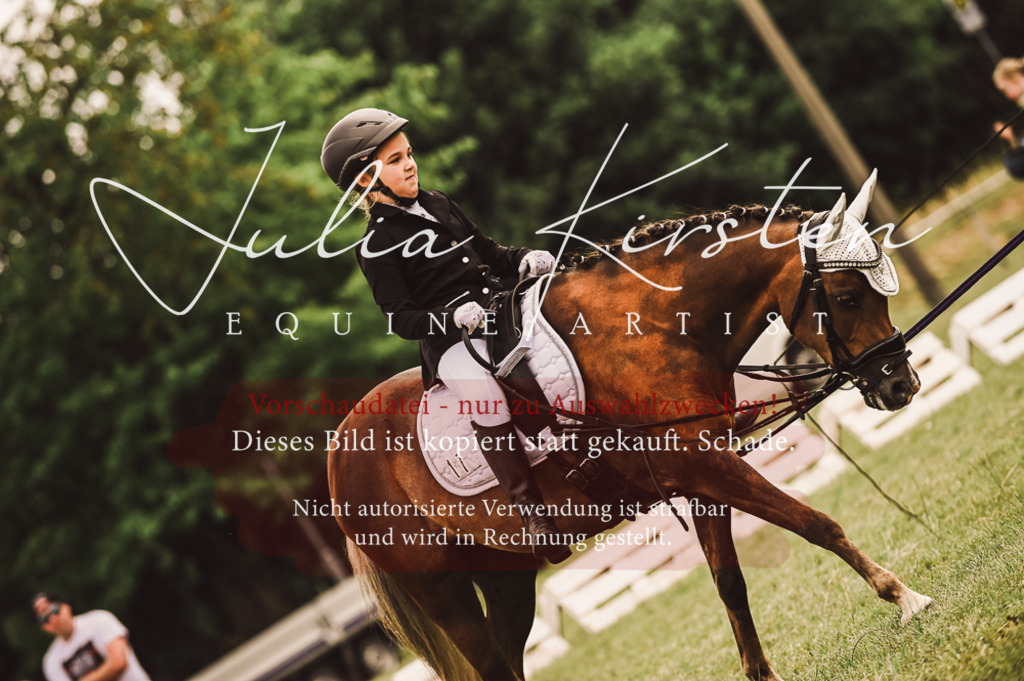 DSC_5248 | Pferde- und Turnierfotografie in Westsachsen. Pferdeportraits, Auftragszeichnungen und intuitive Kunst.