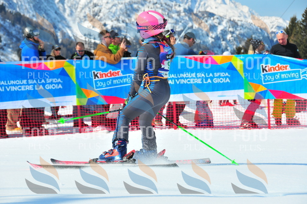 DSC_0672 | holidayphoto