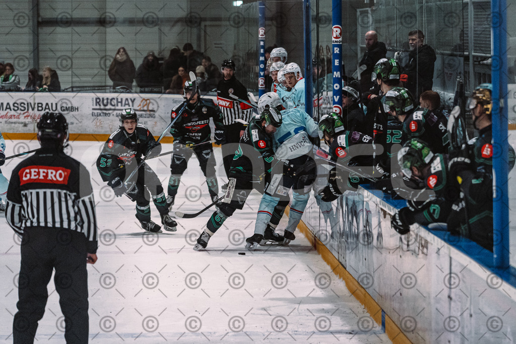 Alligators_vs_Heilbronn_08_02_2026-32 | Höchstadt Alligators Fotogalerie: Eishockey-Action aus Franken. Professionelle Spielfotos, Portraits & Stadionbilder zum Download. Jetzt entdecken! - Realisiert mit Pictrs.com