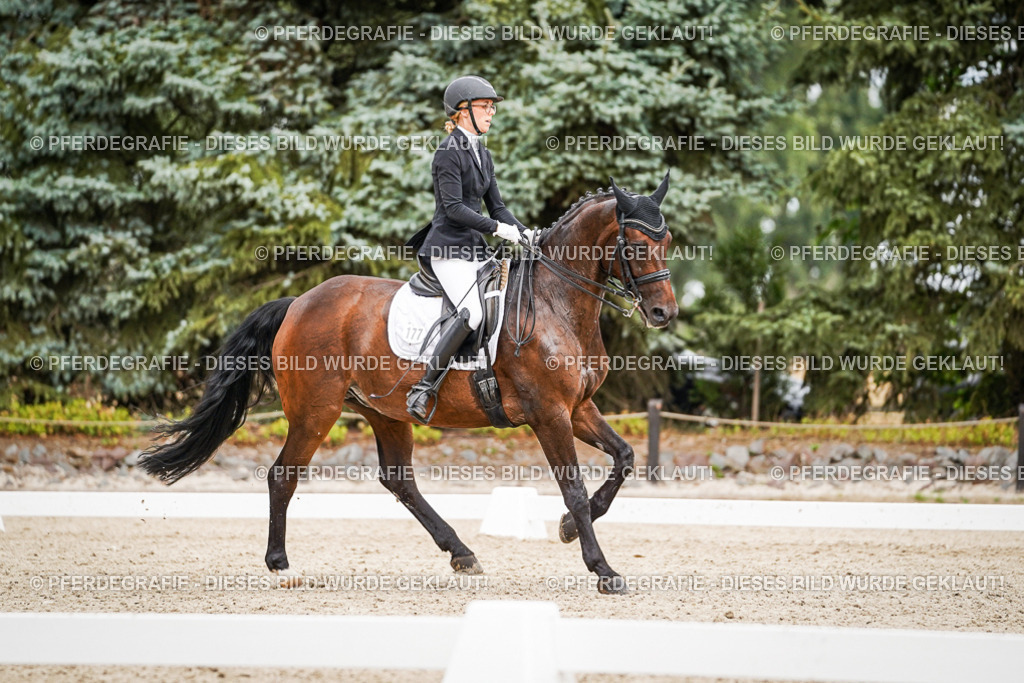 DSC04703 | Pferdegrafie