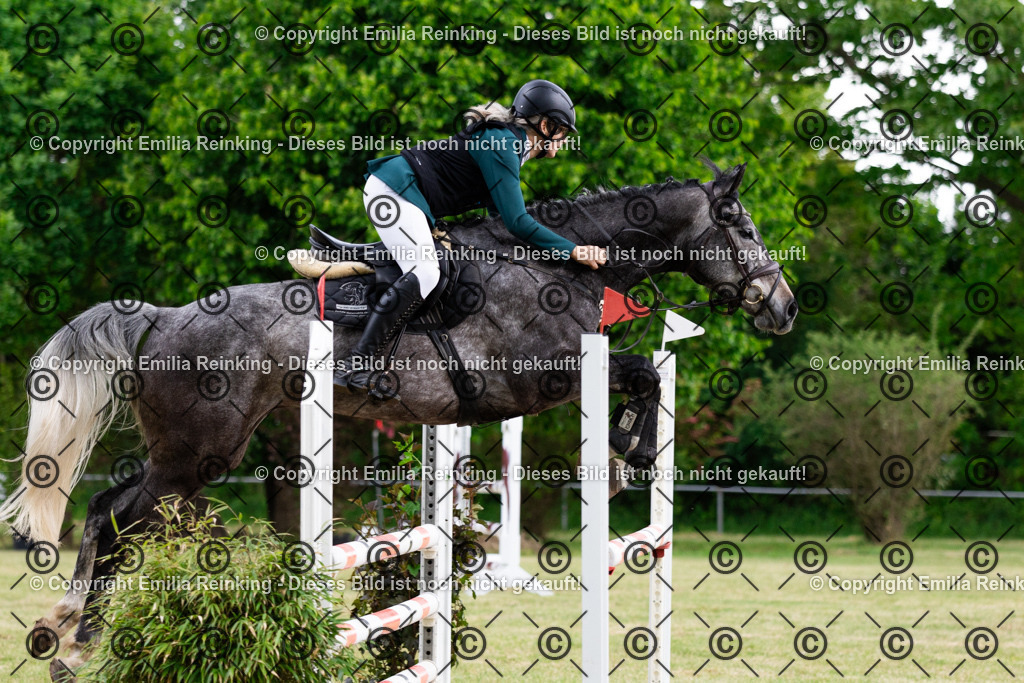 CL5A6377 | Emilia Reinking Fotografie - Realisiert mit Pictrs.com