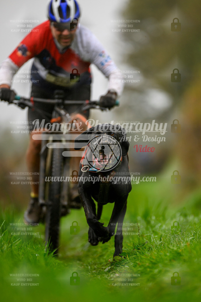 MompixPhotography_20TSB_E8_Bike-63 | PayLife