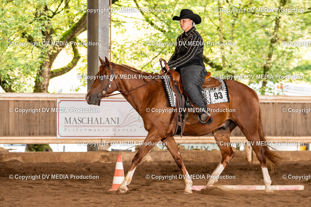 Erbach Tag 1-231 | dv-media-shop - Realisiert mit Pictrs.com