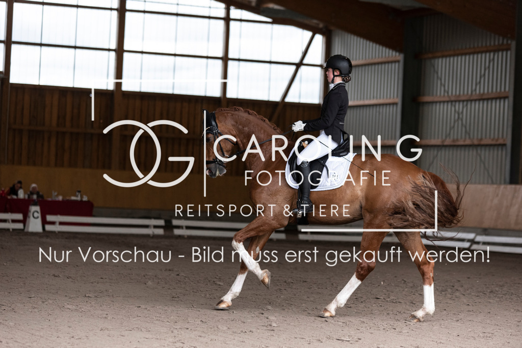DSC_2486 | Turnierfotografin Carolin Gieschke, Turnierfotografie Carolin G Fotografie, Turnierfotos Kirchheim/Teck, Esslingen, Stuttgart, Bodenseekreis