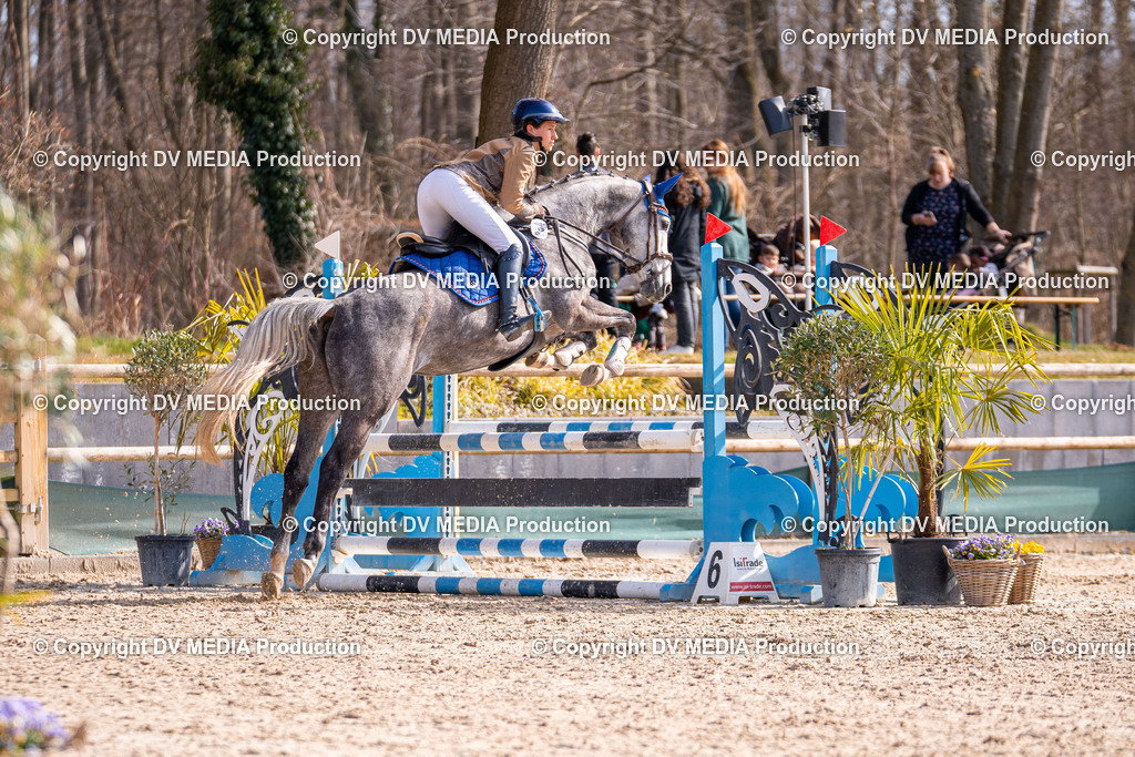 Kranichstein Tag 1-367 | dv-media-shop - Realisiert mit Pictrs.com